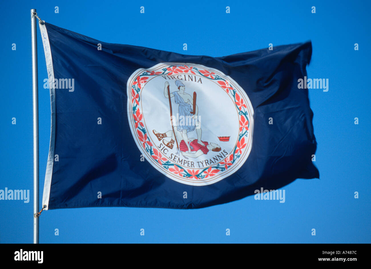 Flagge von Virginia Stockfoto Flagge von Virginia Stockfoto