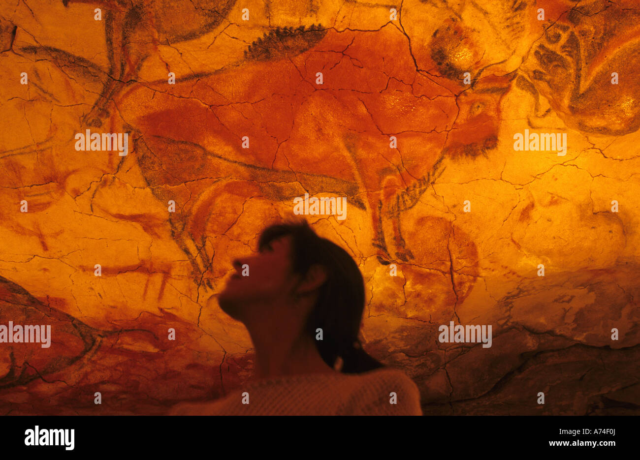 Bisons im MUSEUM von ALTAMIRA NEO Höhle Santillana del Mar Kantabrien Spanien Stockfoto