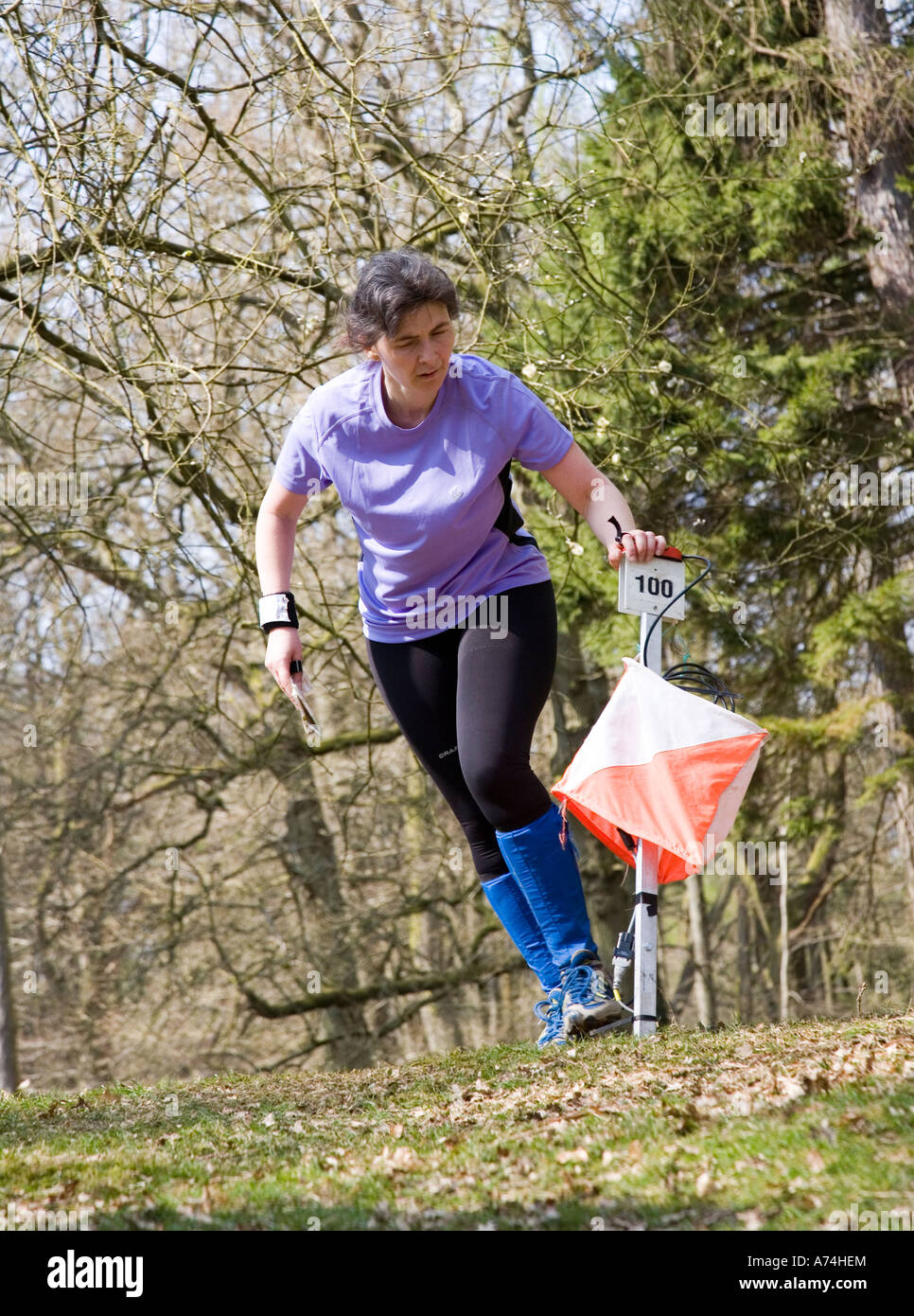 Weibliche Konkurrenz Stanzen einen Kontrollpunkt am ein OL Forest of Dean England UK Stockfoto