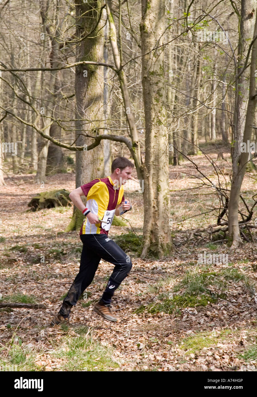Mann läuft im Wald während OL Forest of Dean UK Stockfoto
