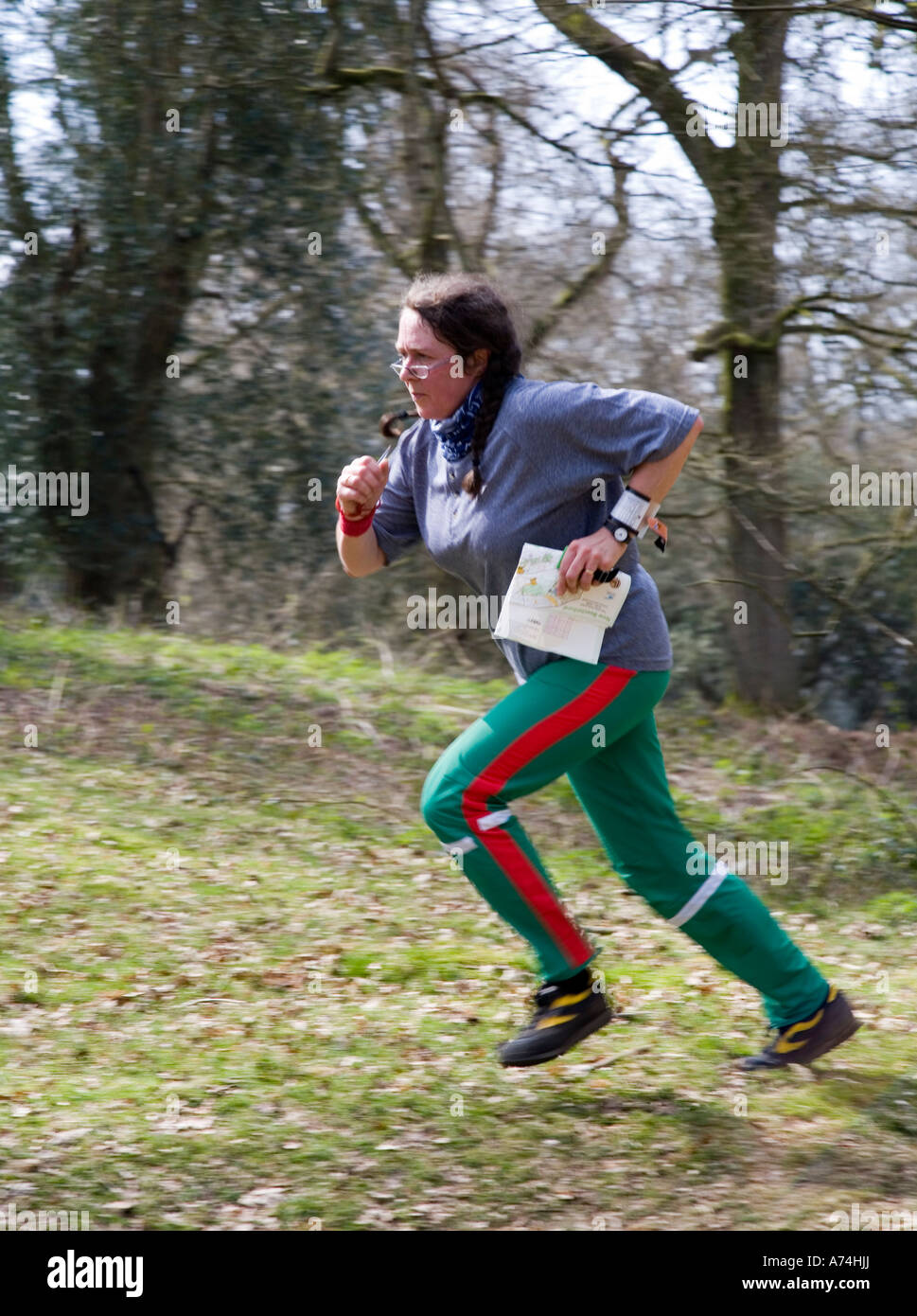 Weibliche Orientierungsläufer in Wald laufen, während OL Forest of Dean UK Stockfoto