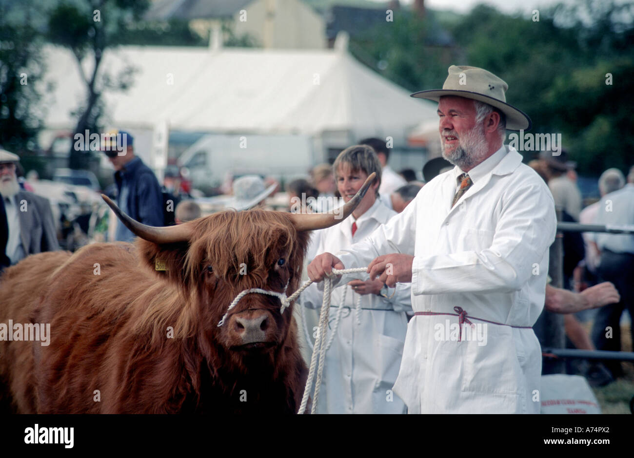 LAGER MANN FRAU HOCHLANDRINDER Stockfoto
