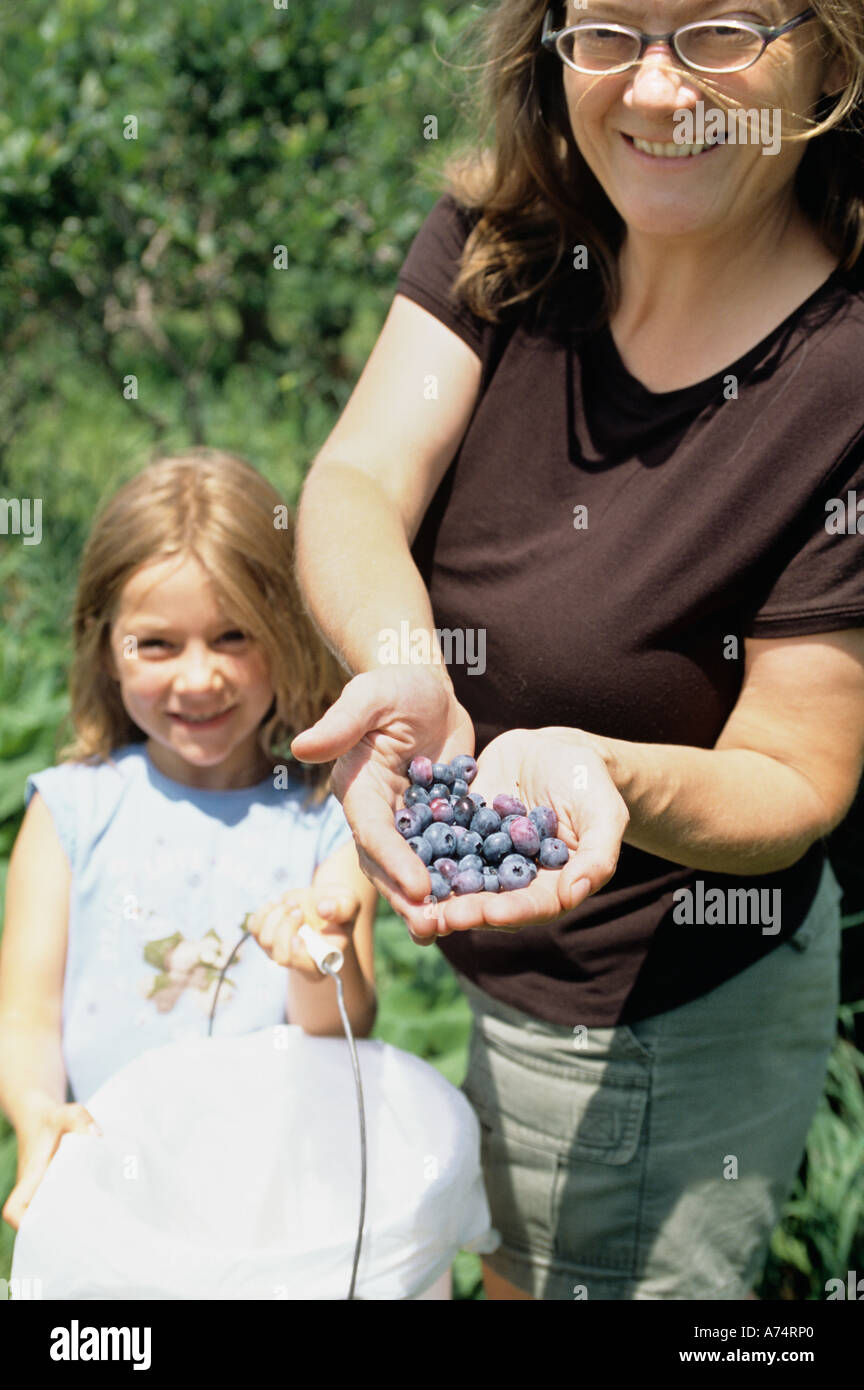 MUTTER & TOCHTER KOMMISSIONIERUNG HEIDELBEEREN Stockfoto