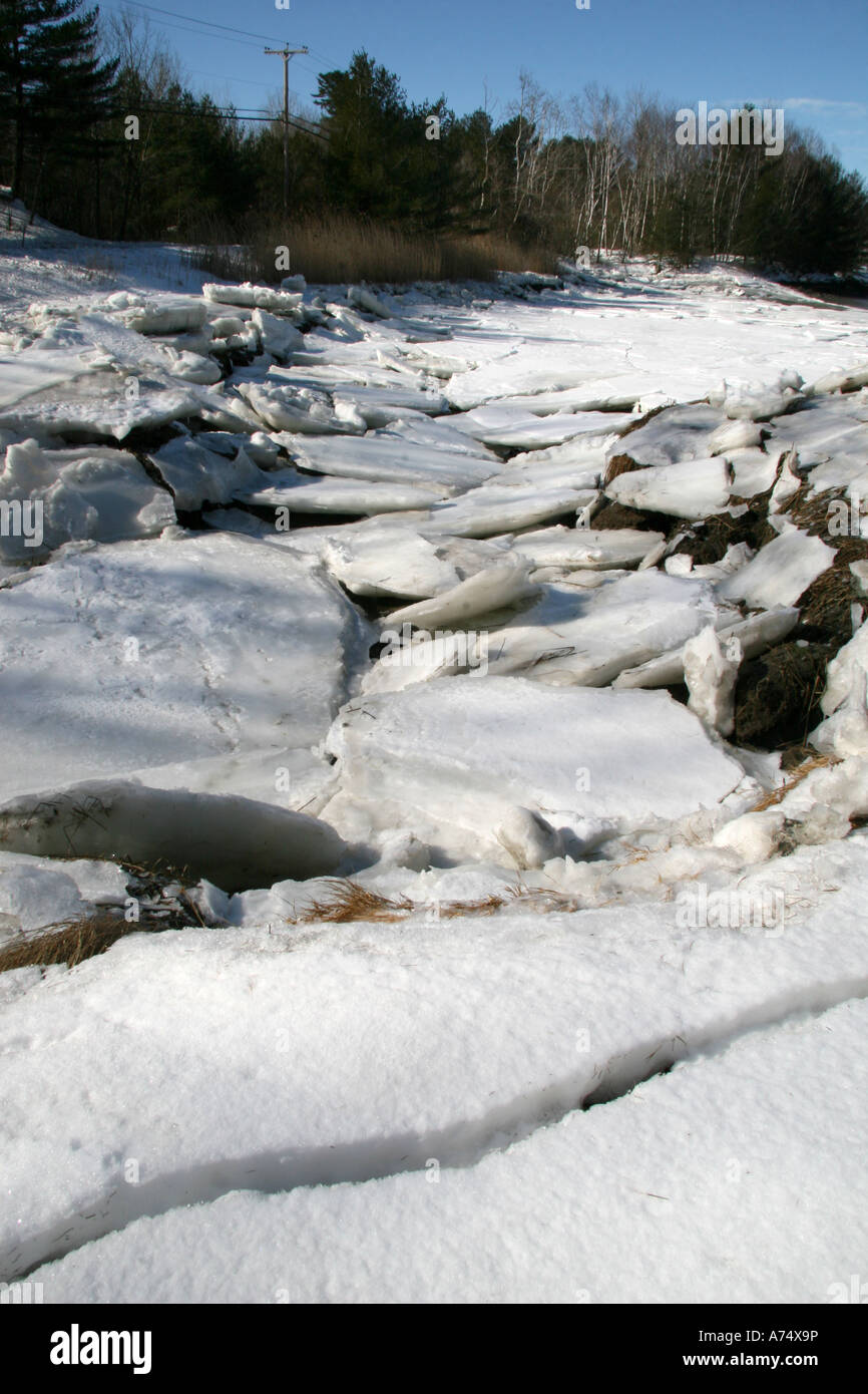 Treibeis oder Schelfeis gestapelt am Ufer der Bucht bei Ebbe in der Nähe von Little Harbor, New Hampshire. Stockfoto