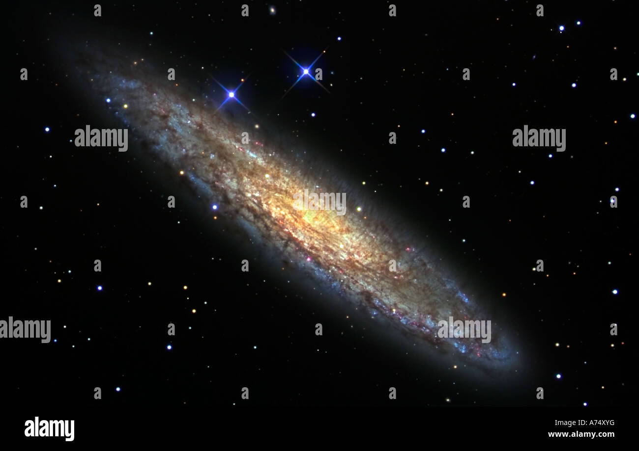 Der Bildhauer-Galaxie NGC 253 im Sternbild Bildhauer Stockfoto