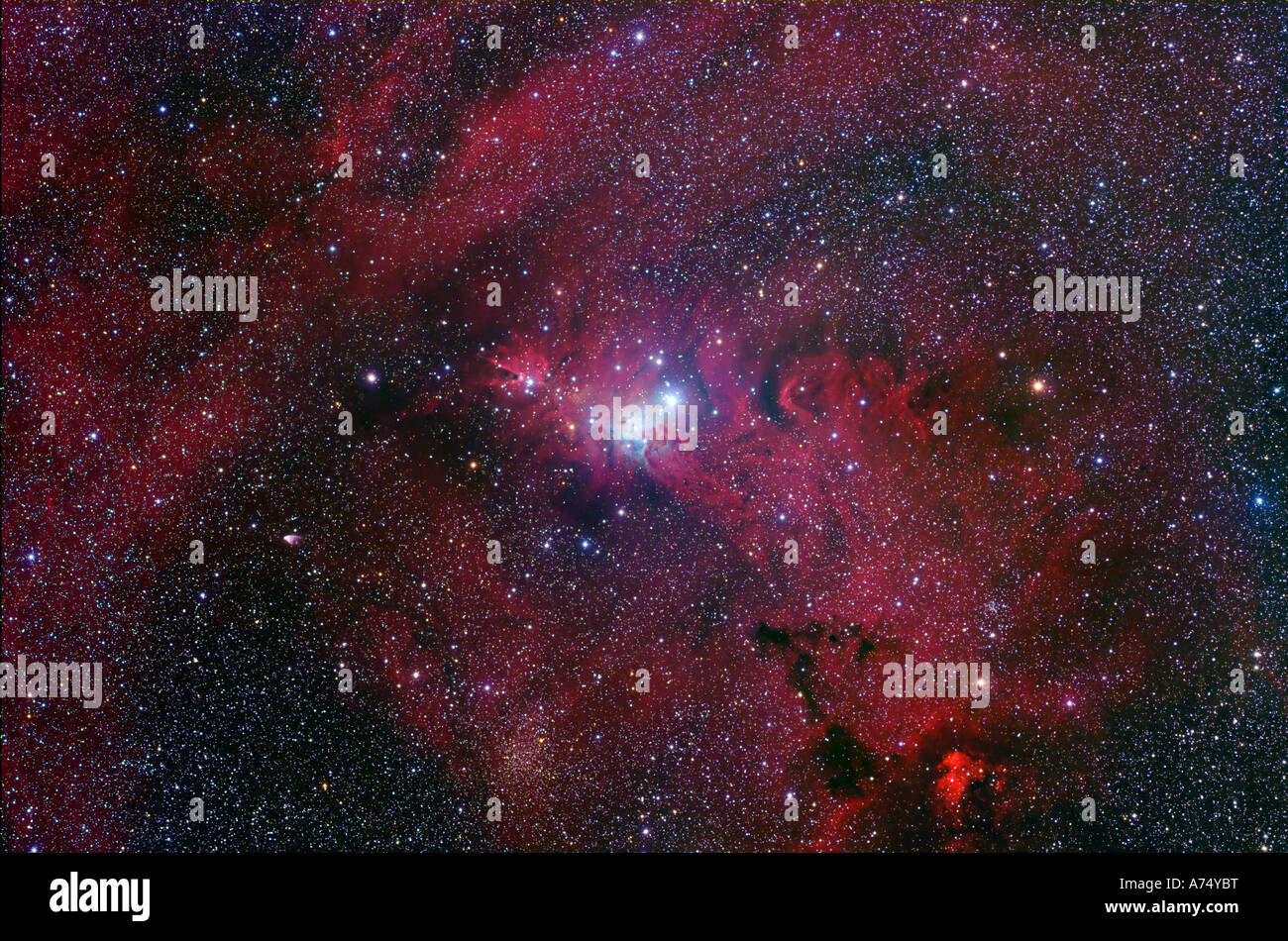 NGC 2264, der Kegel-Nebel-Region Stockfoto