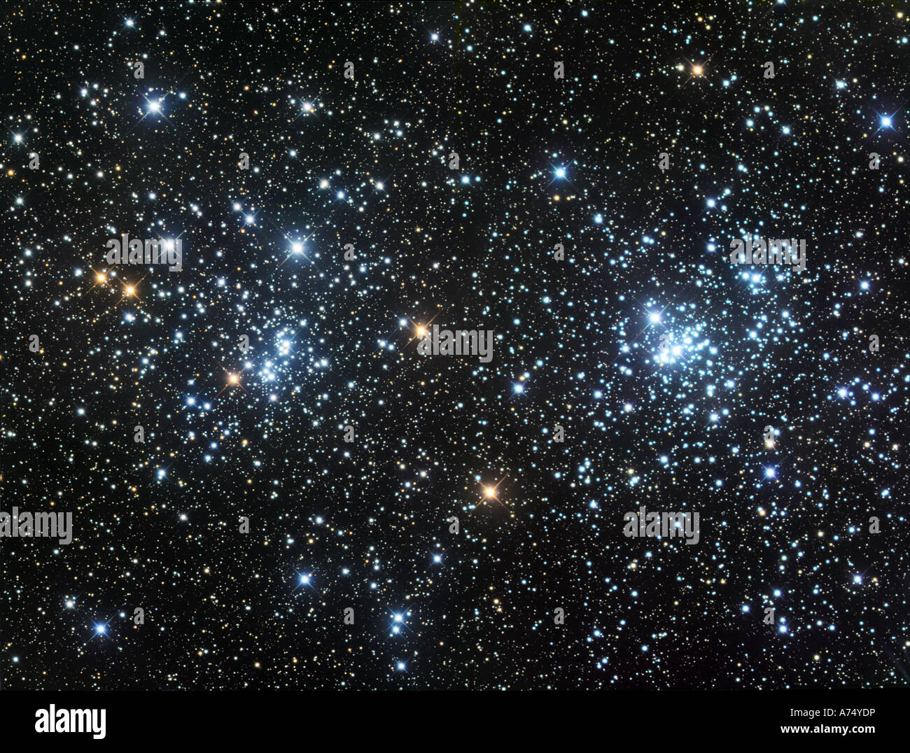 Der Doppelsternhaufen, NGC 884 und NGC 869, wie im Sternbild Perseus zu sehen. Stockfoto