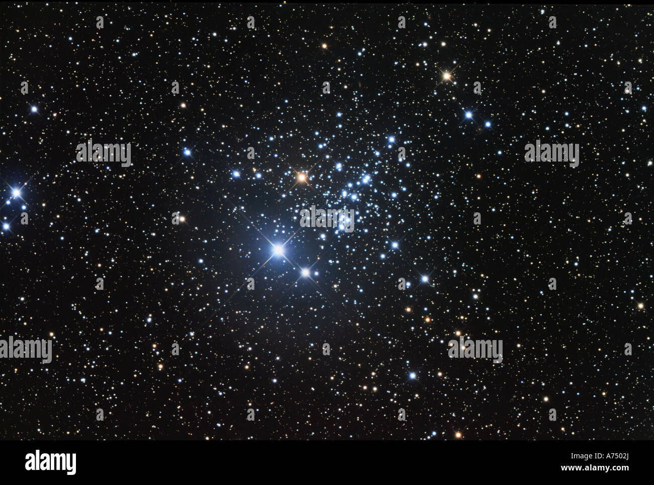 NGC 457 ist ein offener Sternhaufen im Sternbild Kassiopeia. Stockfoto