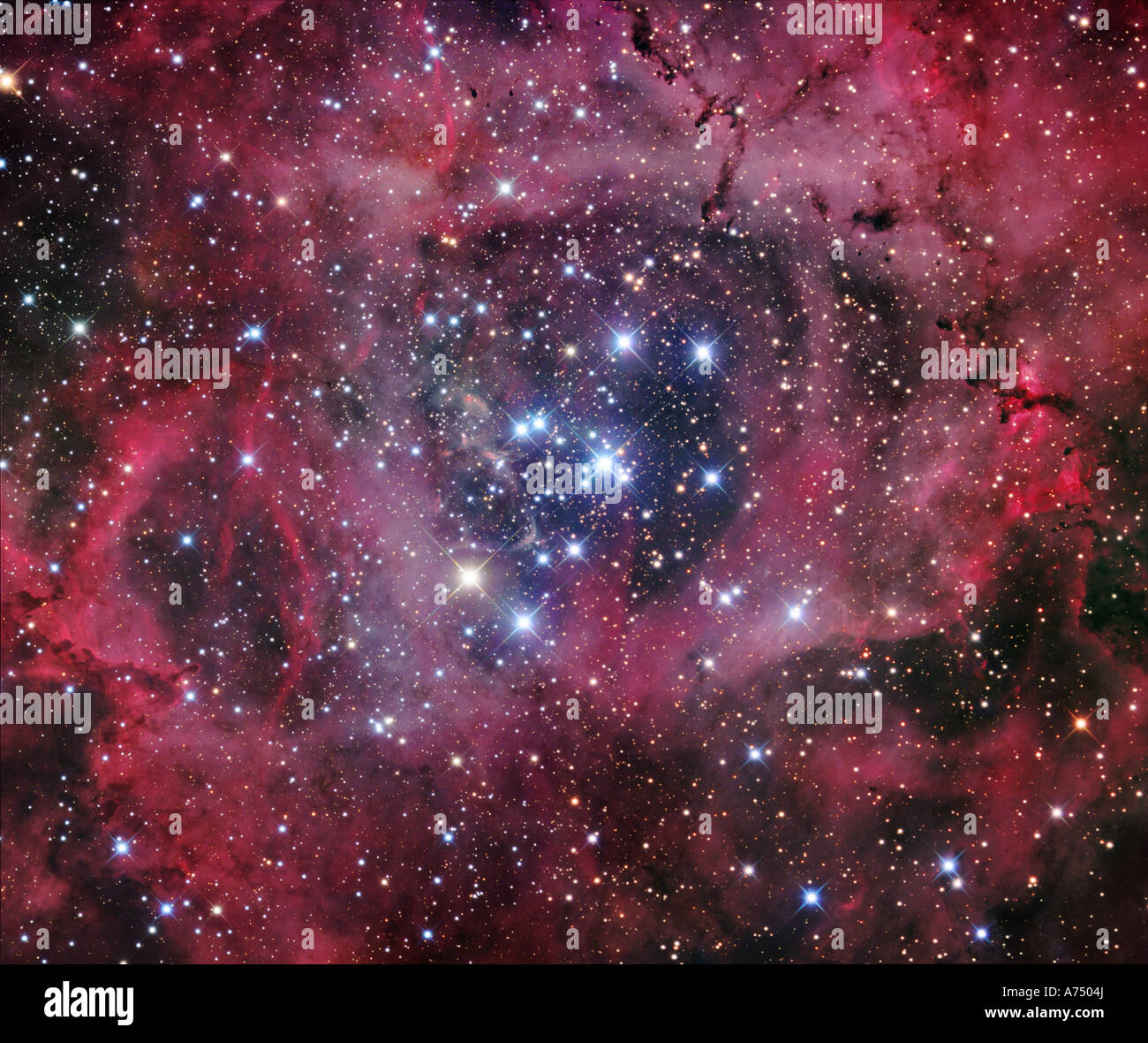 NGC 2244, offene Cluster innerhalb der Rosettennebel Stockfoto