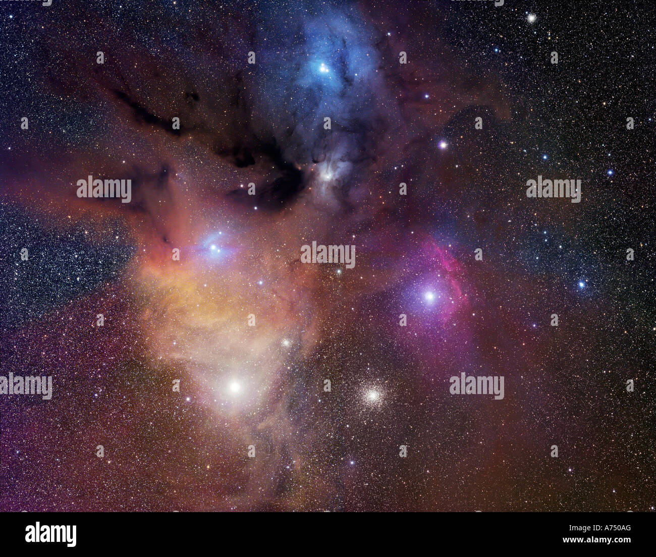 Rho Ophiuchi Nebula Stockfoto