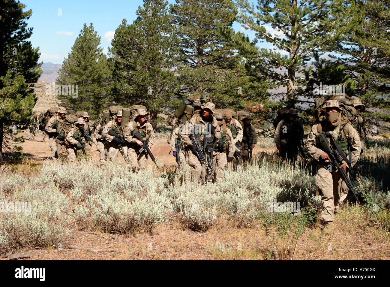 Marines ausziehen für eine Patrouille in den Bergen in der Nähe von Marine Corps Mountain Warfare Training Center in Bridgeport, Kalifornien. Stockfoto