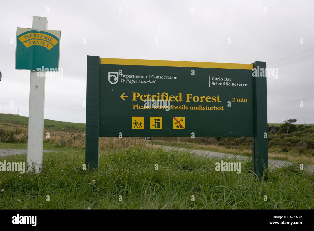 Wegweiser zum versteinerten Wald in exponierten Felsen am Strand von Curio Bay vor Ort der fossile Wald in den Catlins Küste Neuseeland Stockfoto