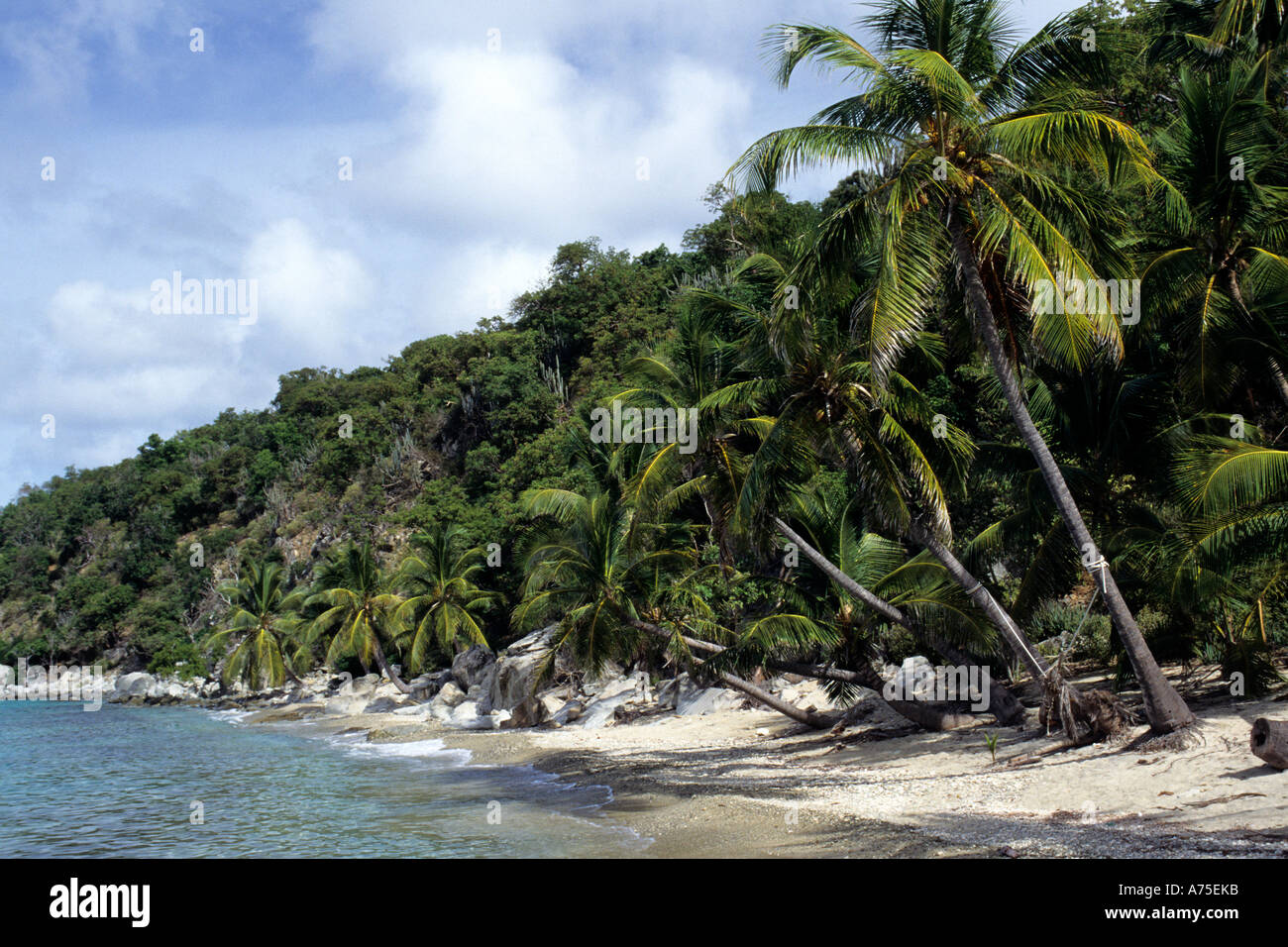Manchioneel Bay Cooper Island British Virgin Islands Stockfoto