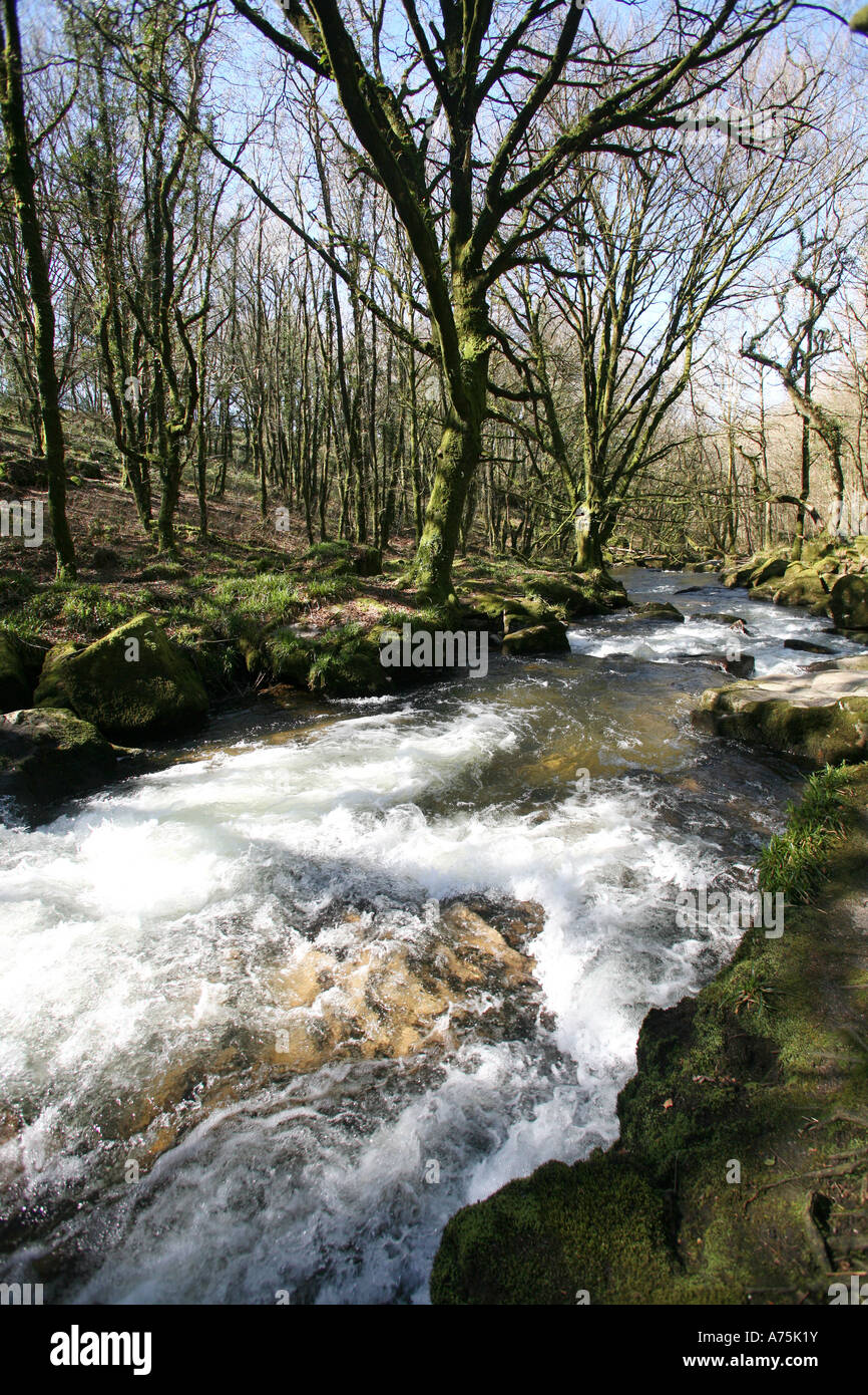 Golitha Falls, Bodmin Moor, Cornwall, UK Stockfoto