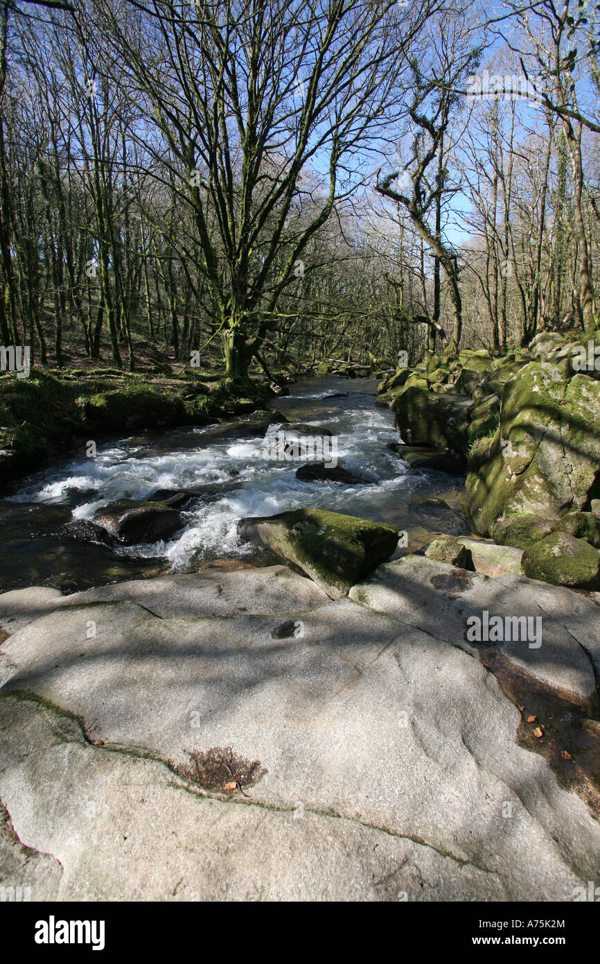 Golitha Falls, Bodmin Moor, Cornwall, UK Stockfoto