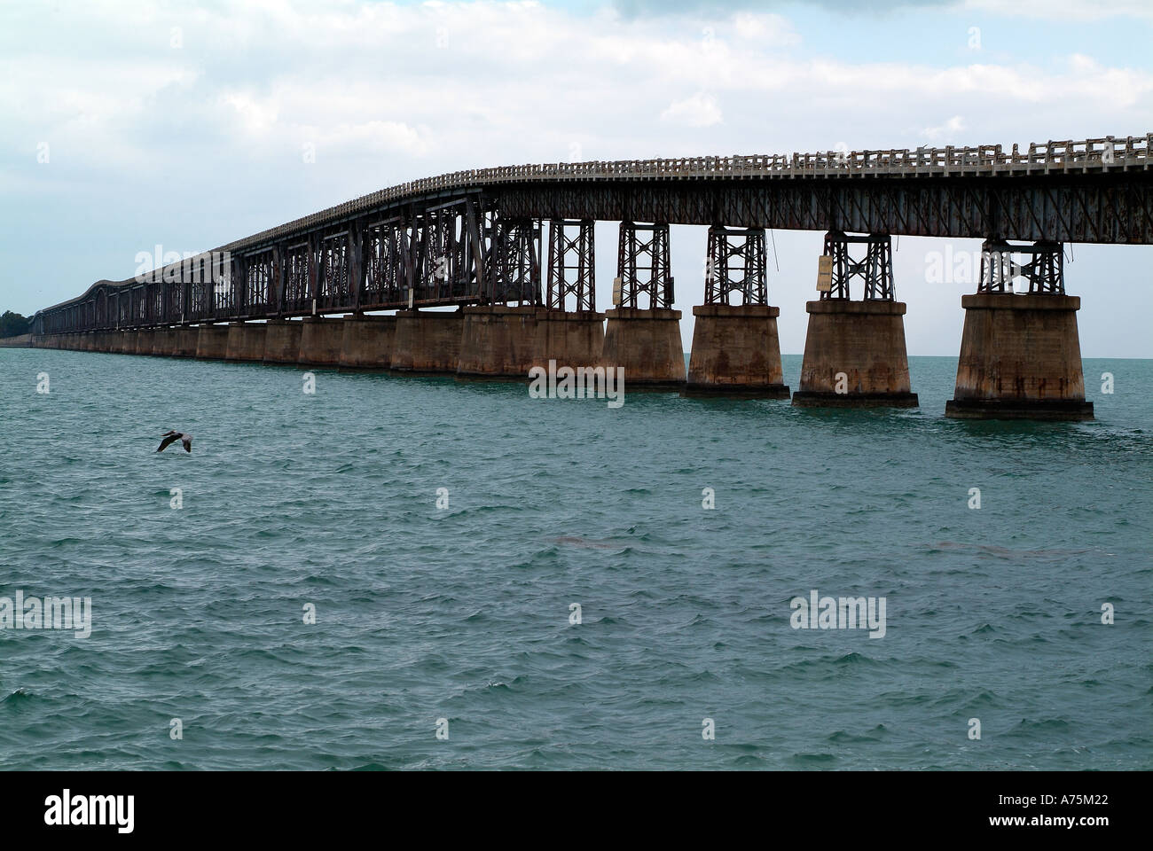 Unteren Tasten USA Florida Straßenbrücke Stockfoto