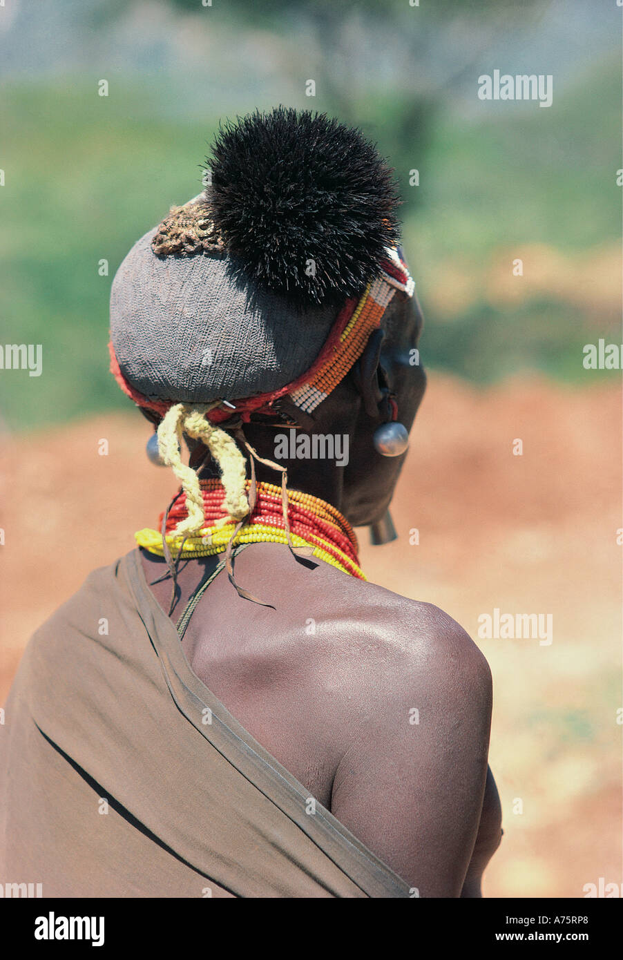 Blick auf Hinterkopf ein Pokot verheirateter Mann mit blauen Ton Frisur oder Kopfbedeckung in der Nähe von Kuchelebi nördlichen Kenia in Ostafrika Stockfoto