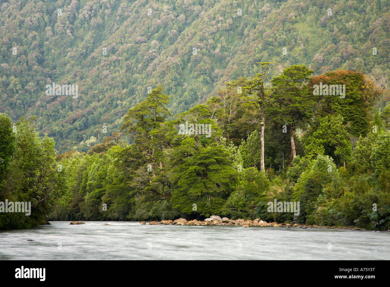 Chile, nördlichen Patagonien Chaiten. Lichtstrahlen Abend markieren Sie