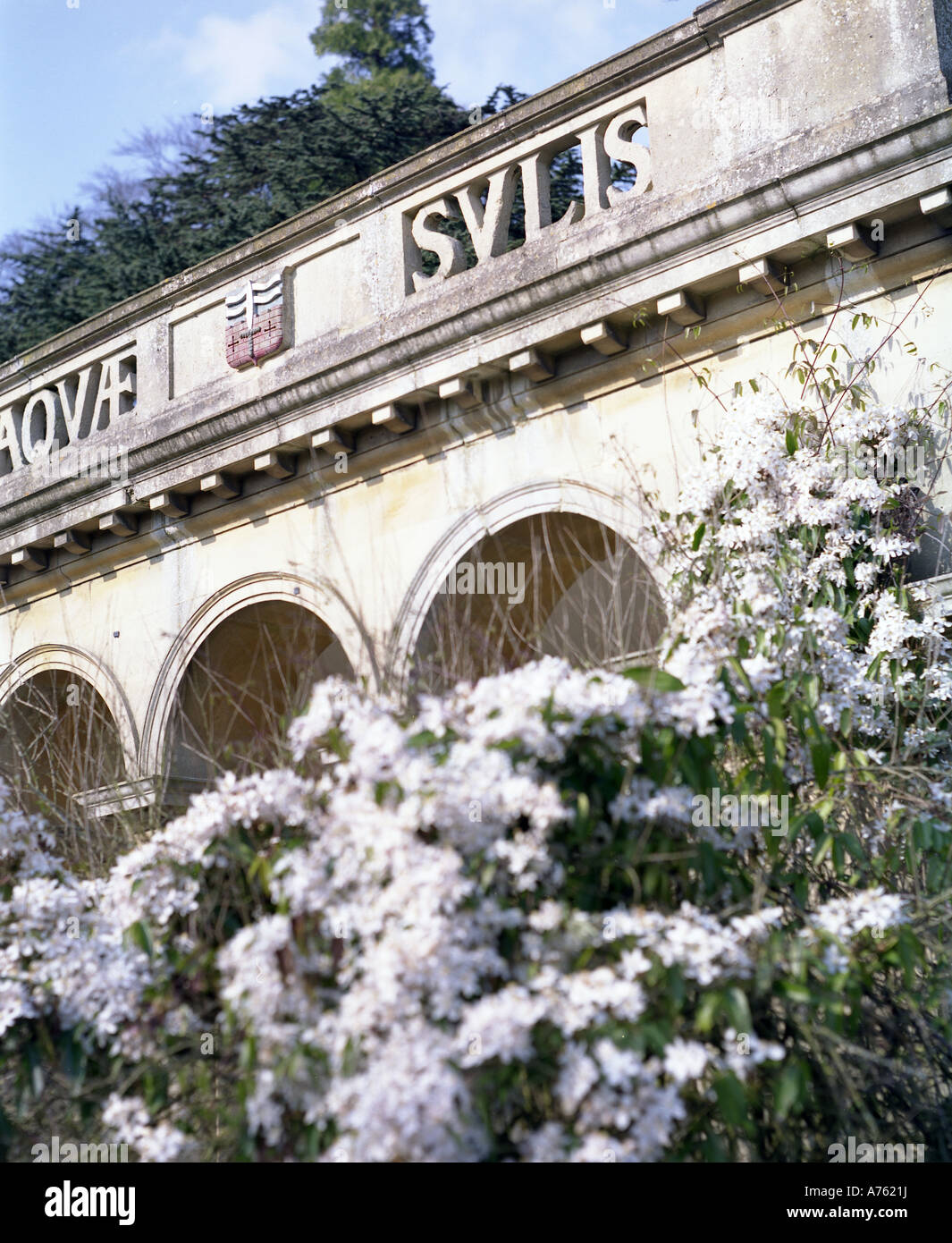Torheit in Bad botanischen Gärten Stockfoto