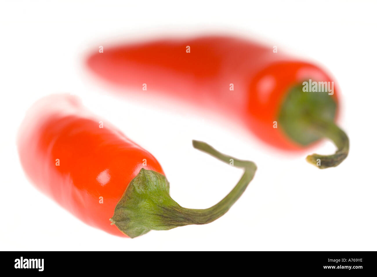 Makro-Bild von zwei hellen roten Chilischoten auf einem reinen weißen Hintergrund. Stockfoto