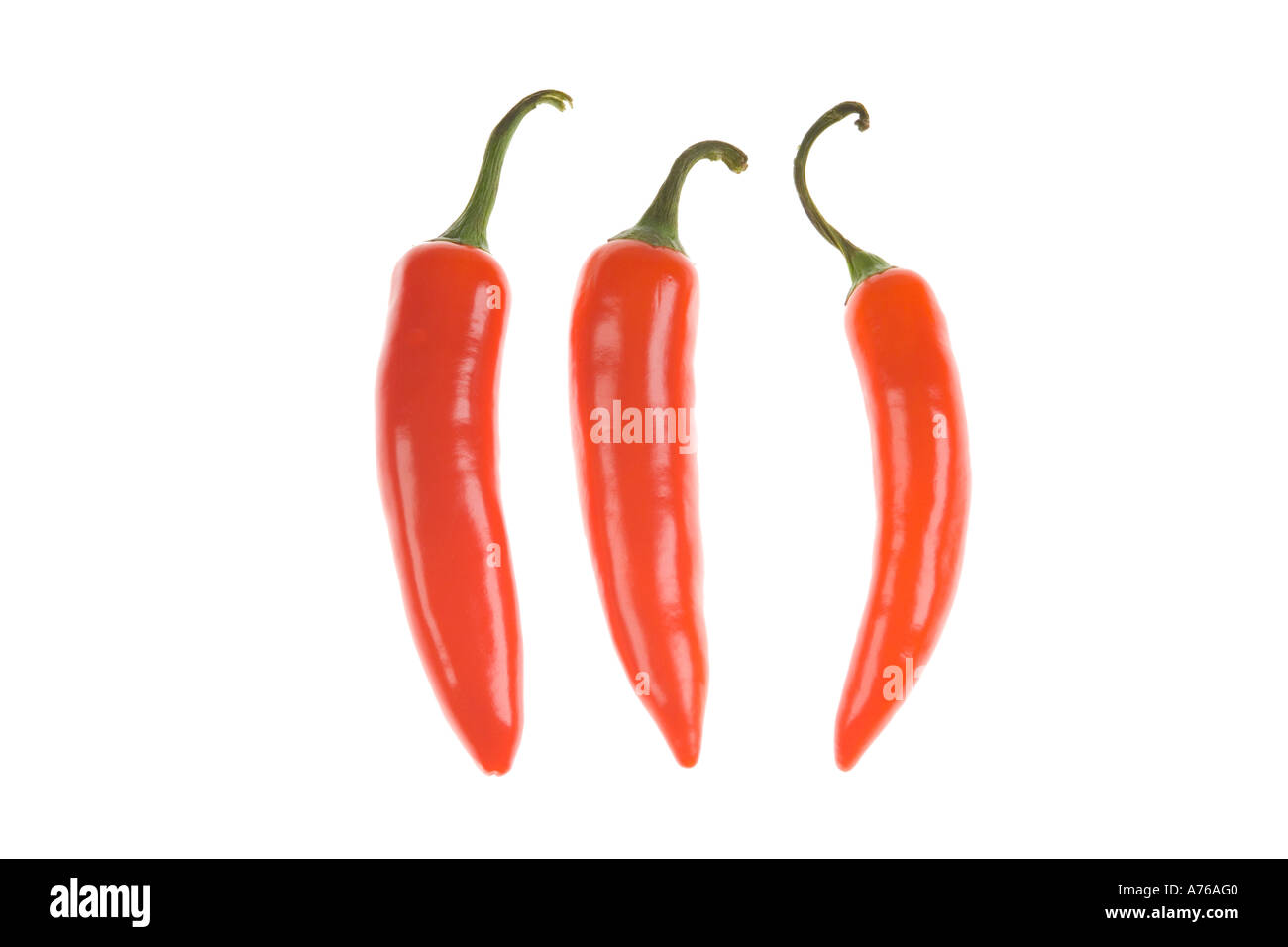 Drei helle rote Chilis in einer Reihe auf einer rein weißen Hintergrund. Stockfoto