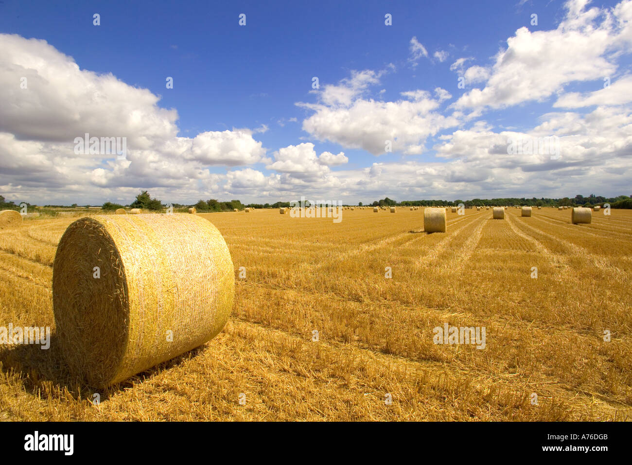 Eine Weitwinkelaufnahme einer typischen englischen Landschaft Sommer Szene von Rundballen Heu im Schnitt Weizenfelder. Stockfoto