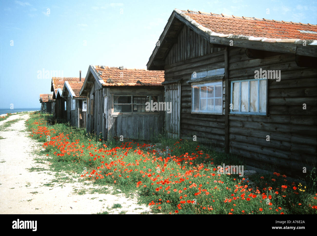 Auster Fischerhütten und Mohn in Gujan Mestras in der Gironde Stockfoto