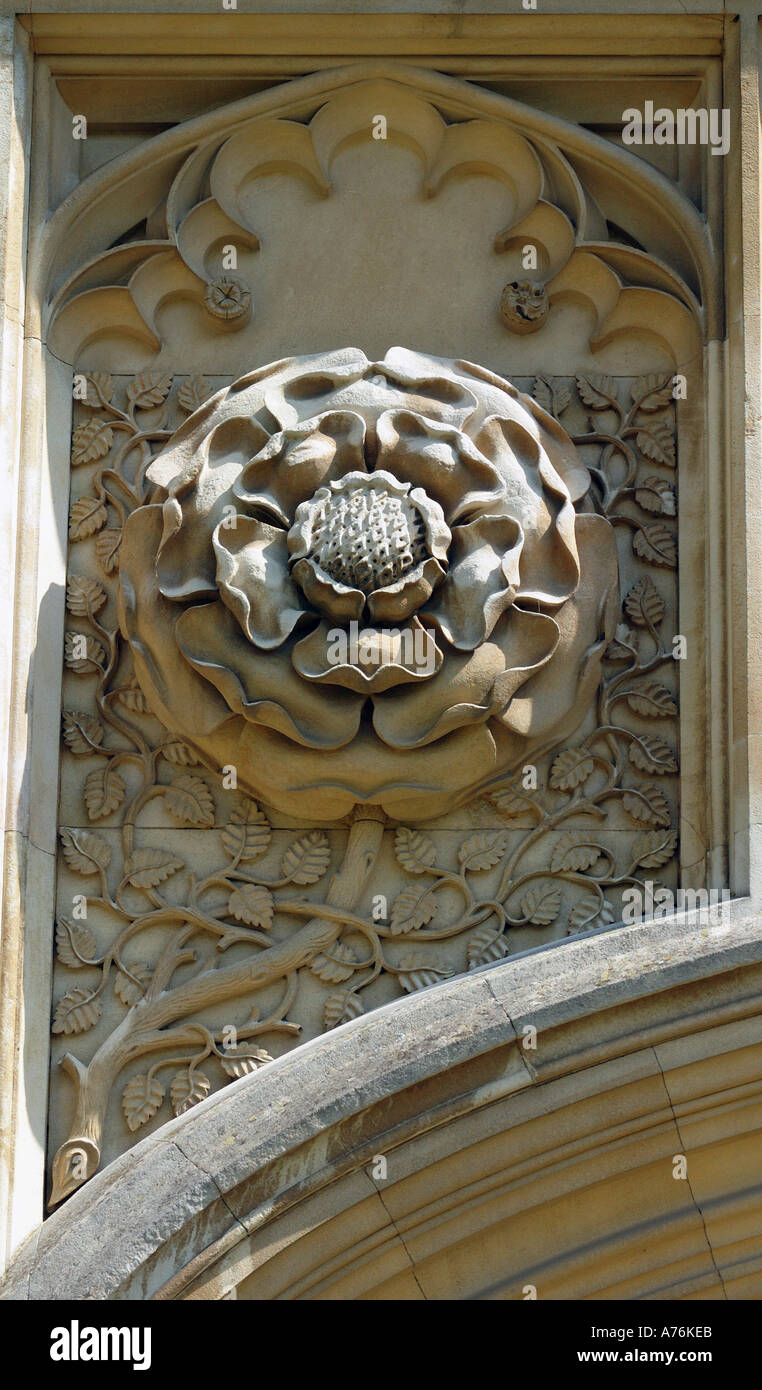 Tudor-Rose über Haupteingang nach King s College Cambridge England in Stein gemeißelt. Stockfoto