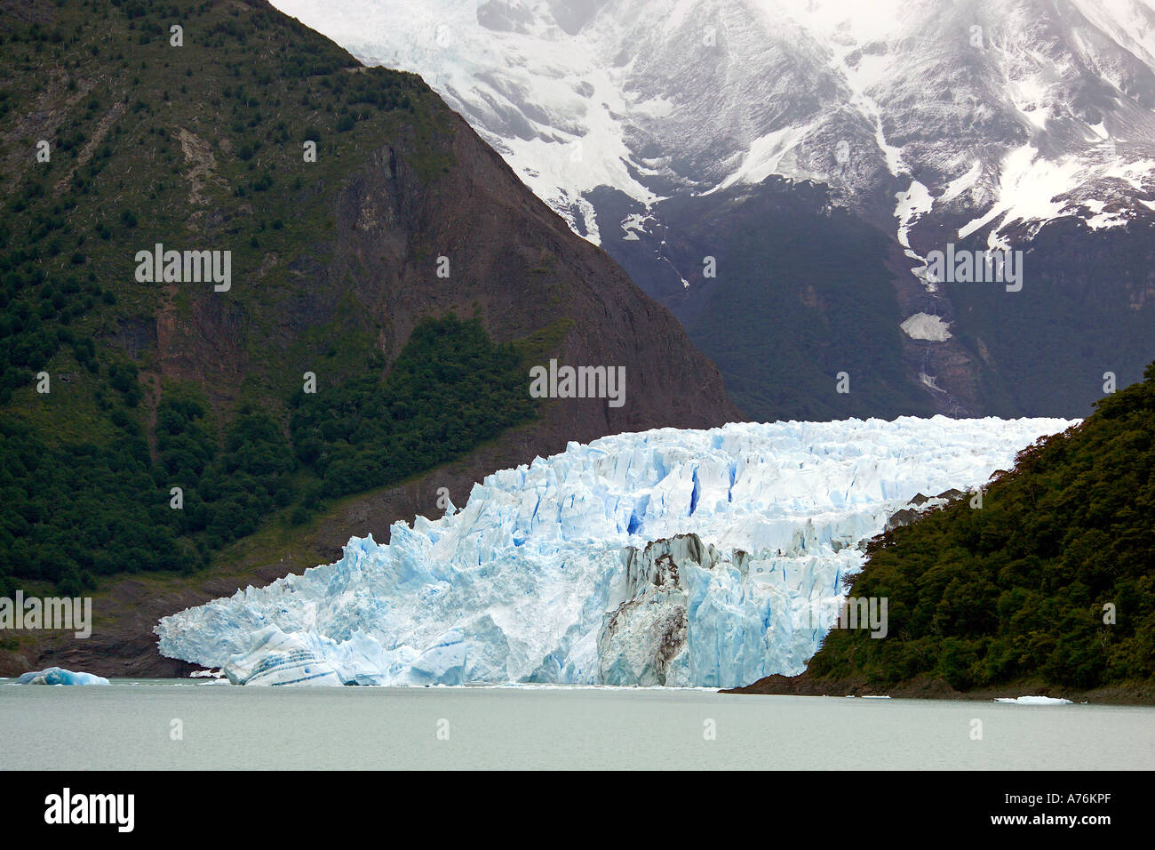 Ein Gletscher in See Onelli im Nationalpark Los Glaciares. Stockfoto