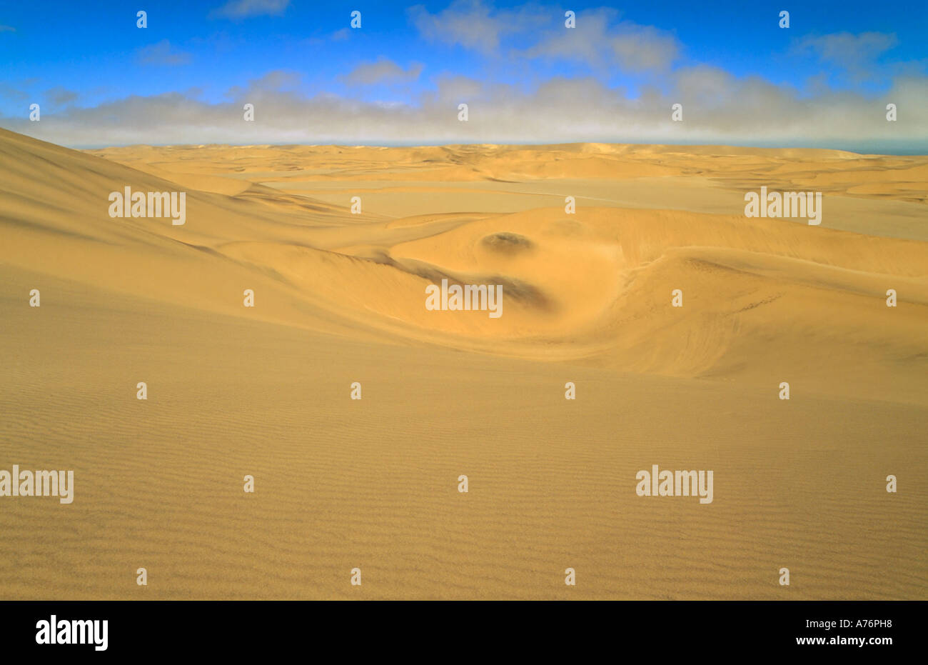 Eine Naheinstellung Weitwinkelaufnahme des namibischen Hügellandschaft mit Wellen, die durch den Wind auf den Sanddünen angelegt. Stockfoto
