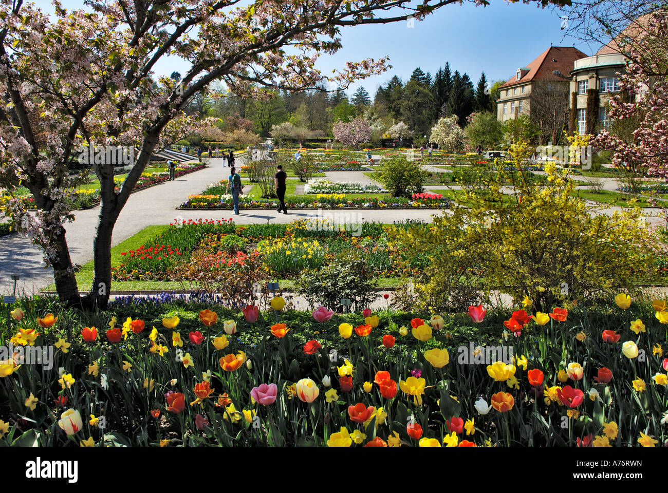 Botanischer Garten im Frühjahr, München, Bayern, Deutschland