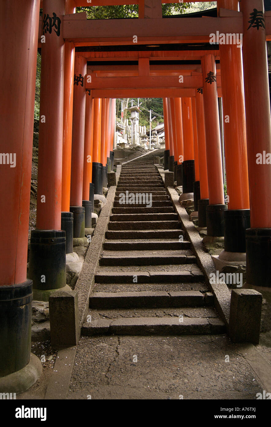 Orange lackiert Torii-Tore im Fushimi Inari-Taisha-Schrein in Kyoto Japan Stockfoto