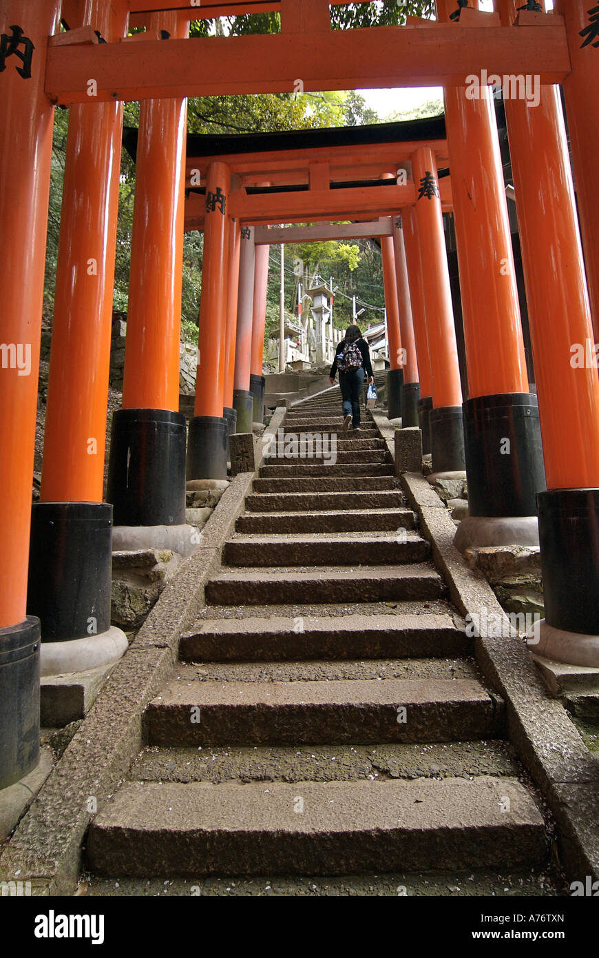 Orange lackiert Torii-Tore im Fushimi Inari-Taisha-Schrein in Kyoto Japan Stockfoto