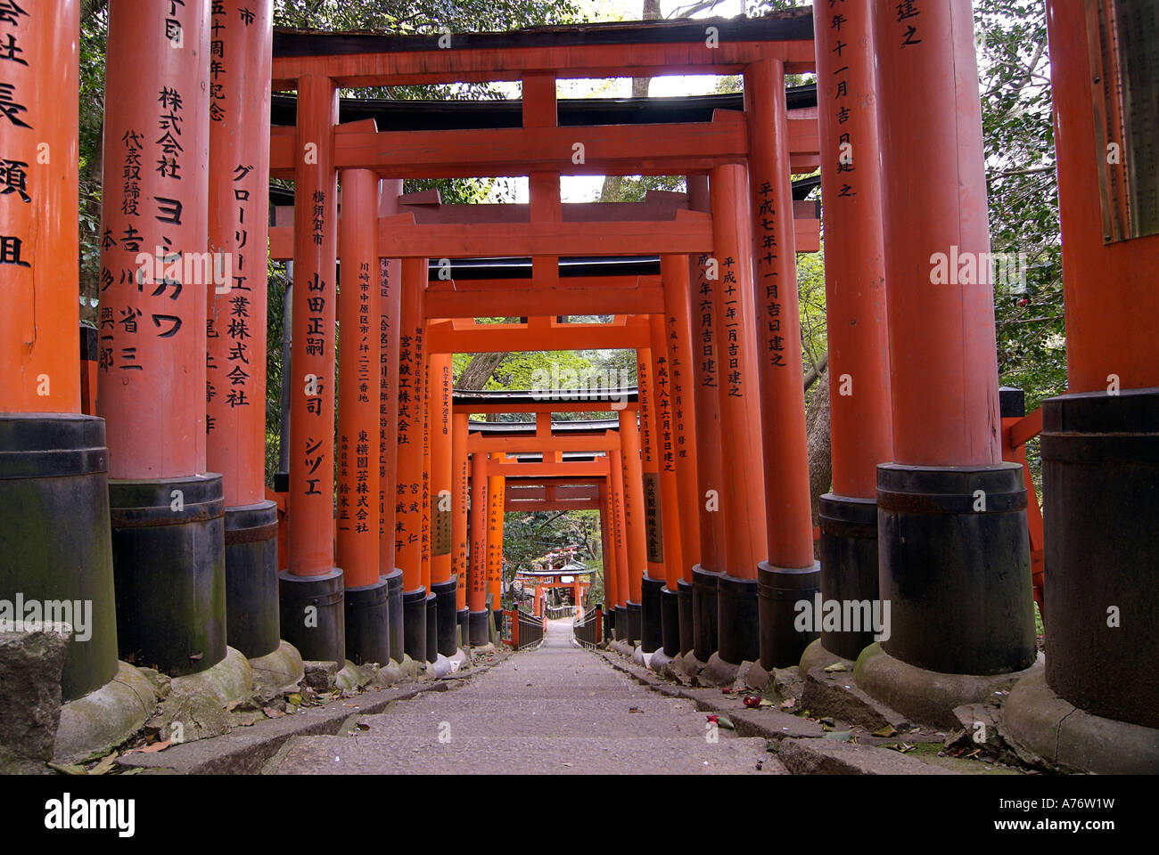 Orange lackiert Torii-Tore im Fushimi Inari-Taisha-Schrein in Kyoto Japan Stockfoto