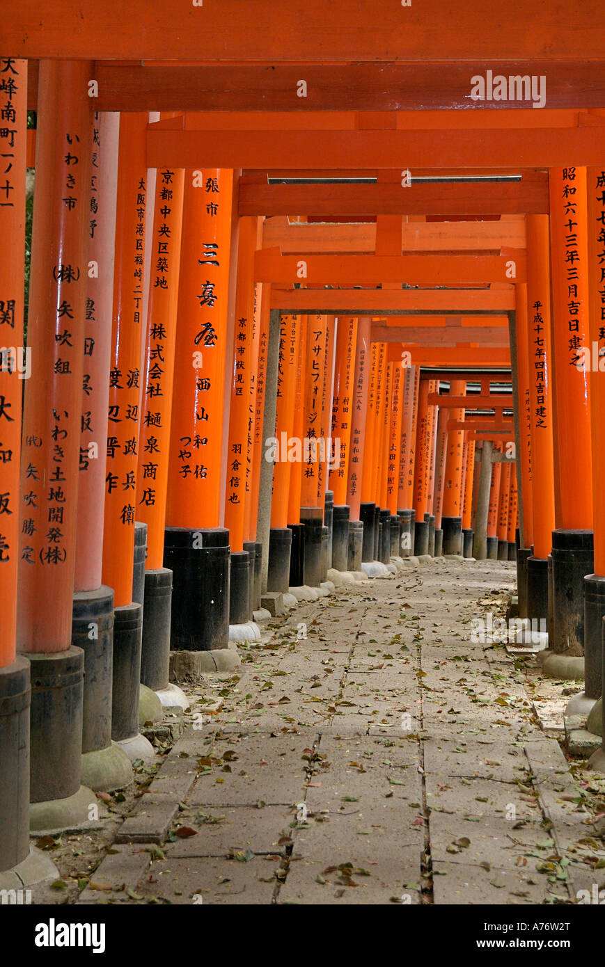Orange lackiert Torii-Tore im Fushimi Inari-Taisha-Schrein in Kyoto Japan Stockfoto