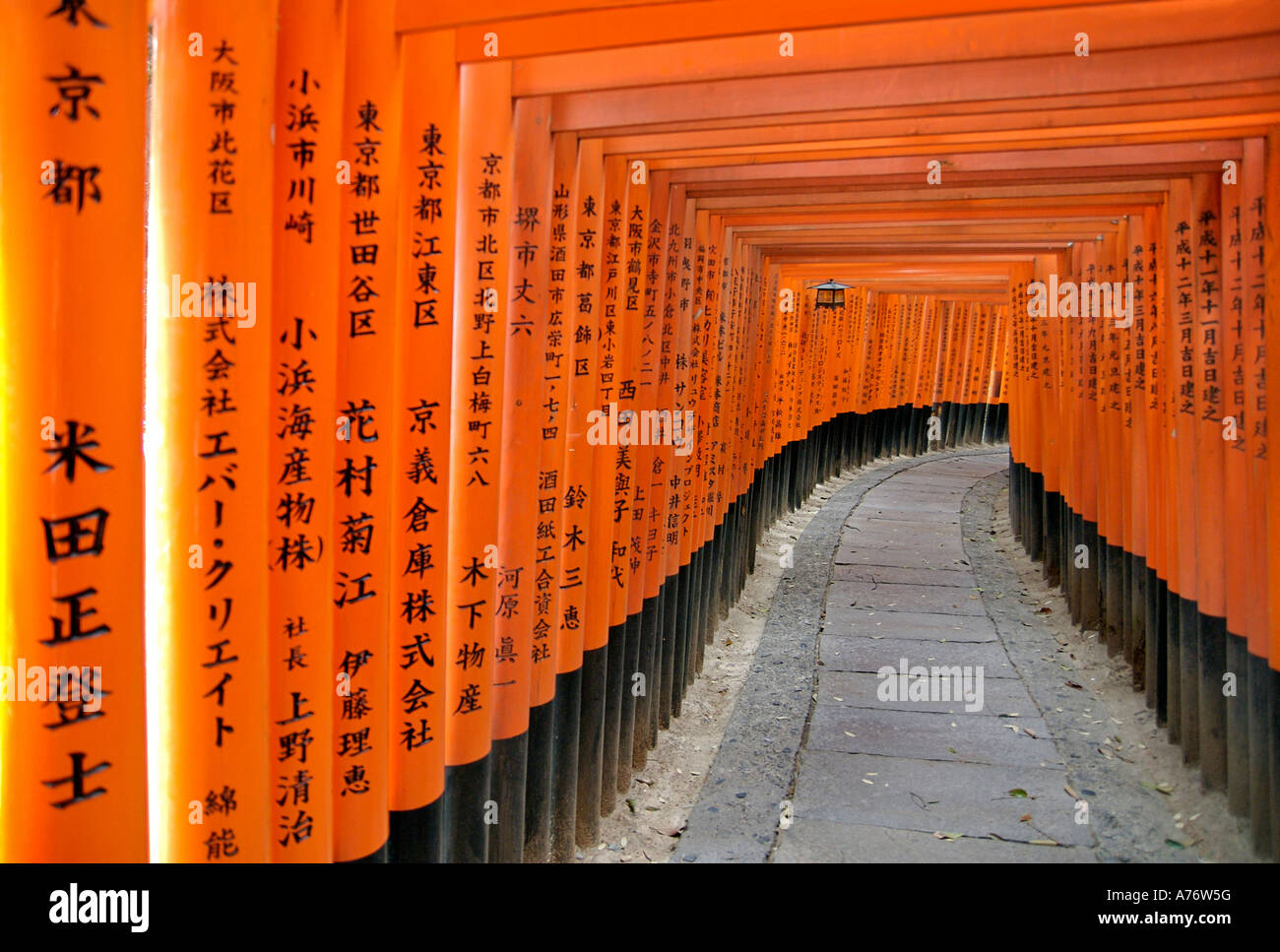 Orange lackiert Torii-Tore im Fushimi Inari-Taisha Schrein in Kyoto Japan Kanji eingeschriebene Holzpfosten Stockfoto