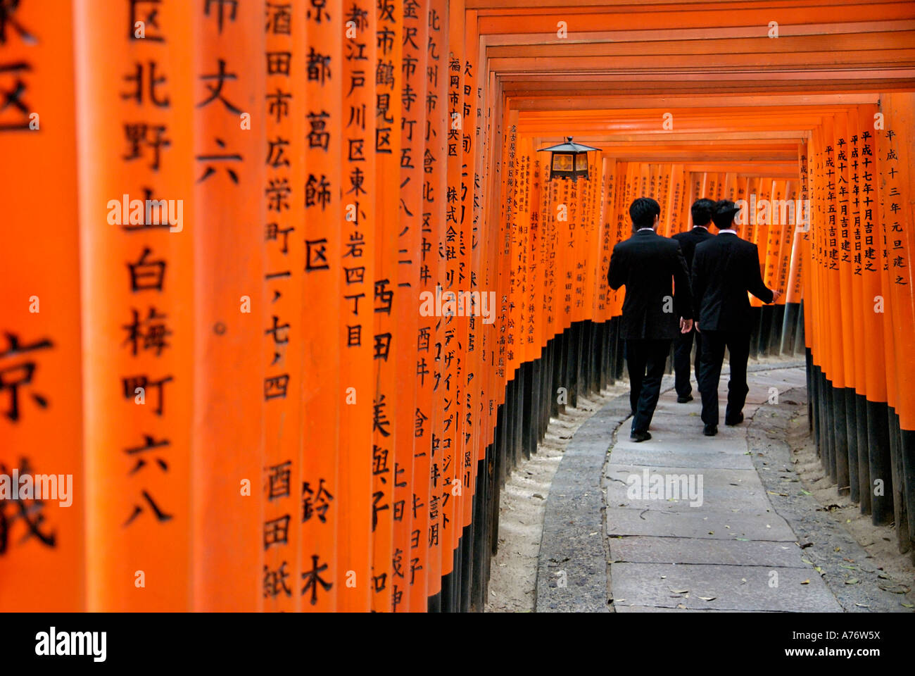 Orange lackiert Torii-Tore im Fushimi Inari-Taisha-Schrein in Kyoto Japan drei Jungunternehmer Stockfoto