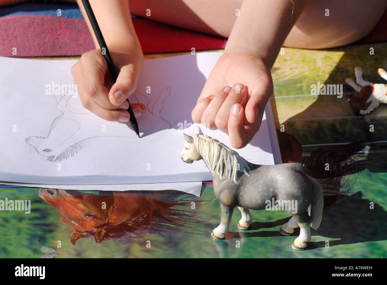 Mädchen ein Pferd zeichnen Stockfoto