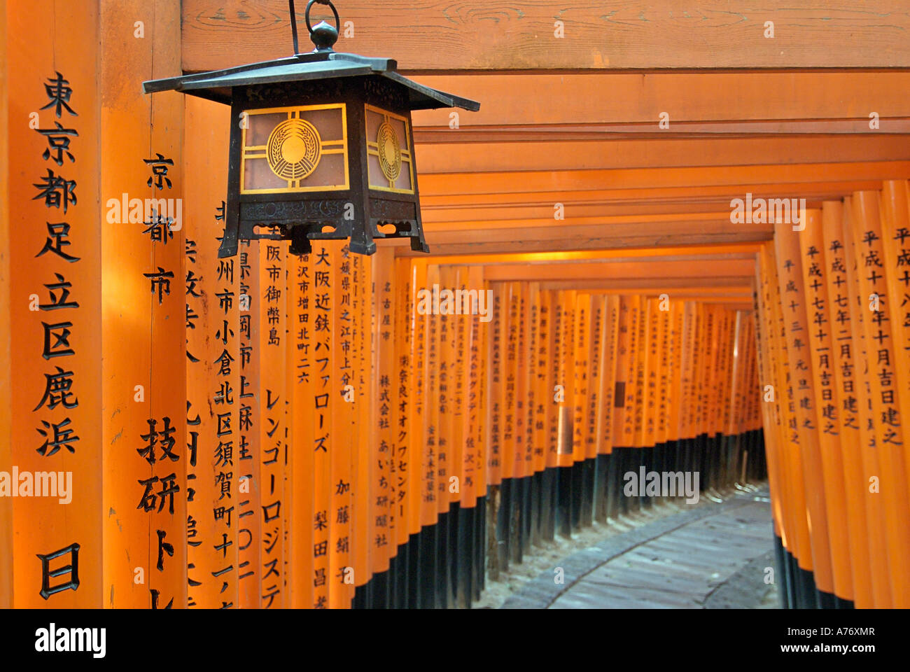 Orange lackiert Torii-Tore im Fushimi Inari-Taisha-Schrein in Kyoto Japan Stockfoto