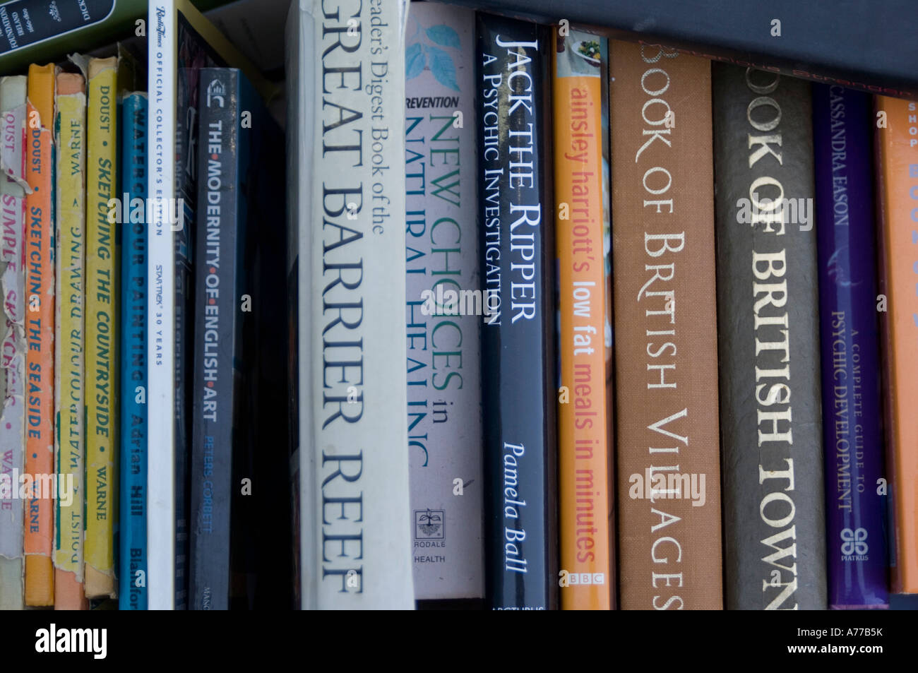 verschiedene ökologische Reisen und neue Alter Bücher zum Verkauf auf Stall in Straßenmarkt Stockfoto