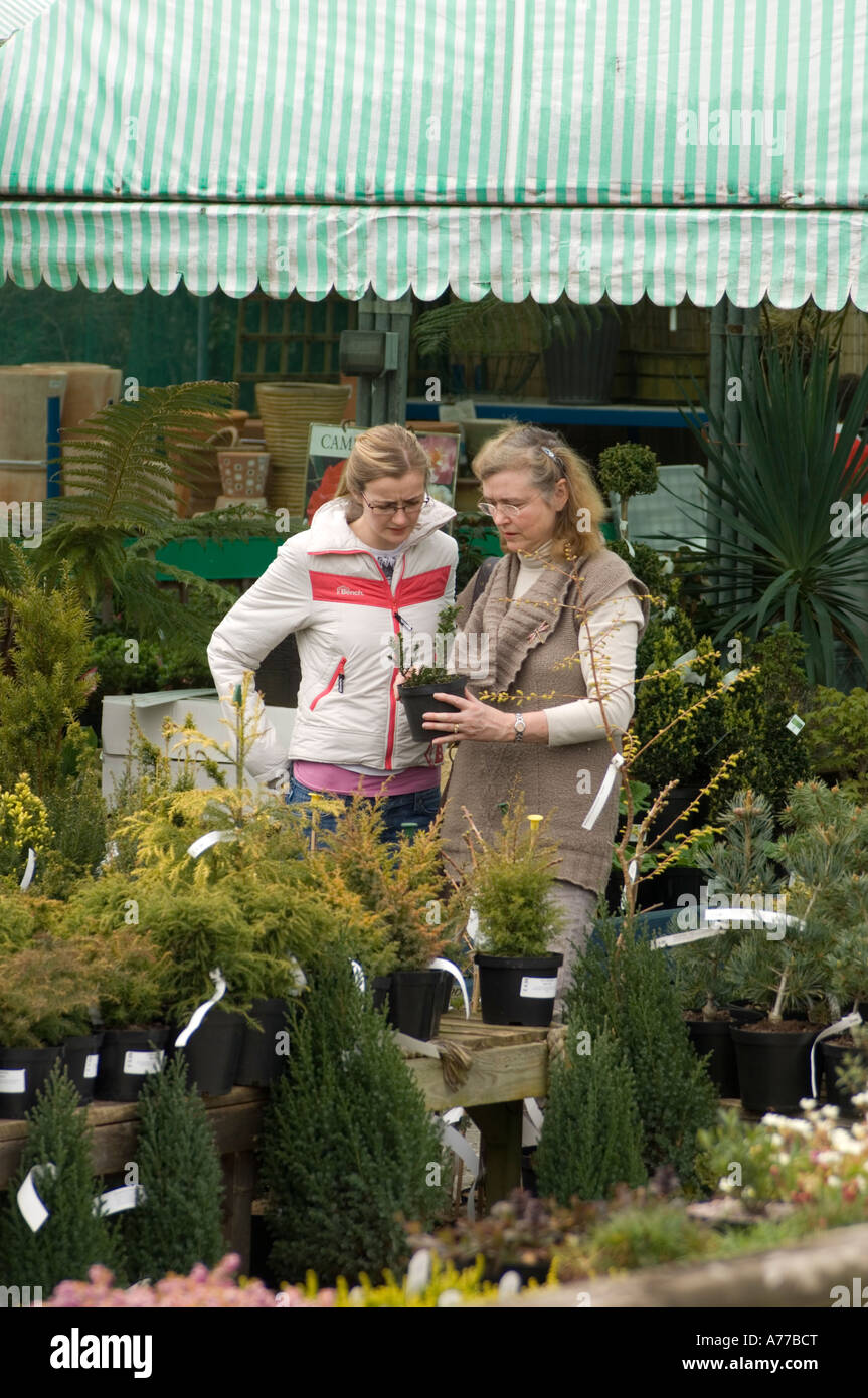 Zwei Frauen entscheiden, was Pflanzen kaufen Newmans Garten Zentrum Aberystwyth Ceredigion Wales cymru Stockfoto