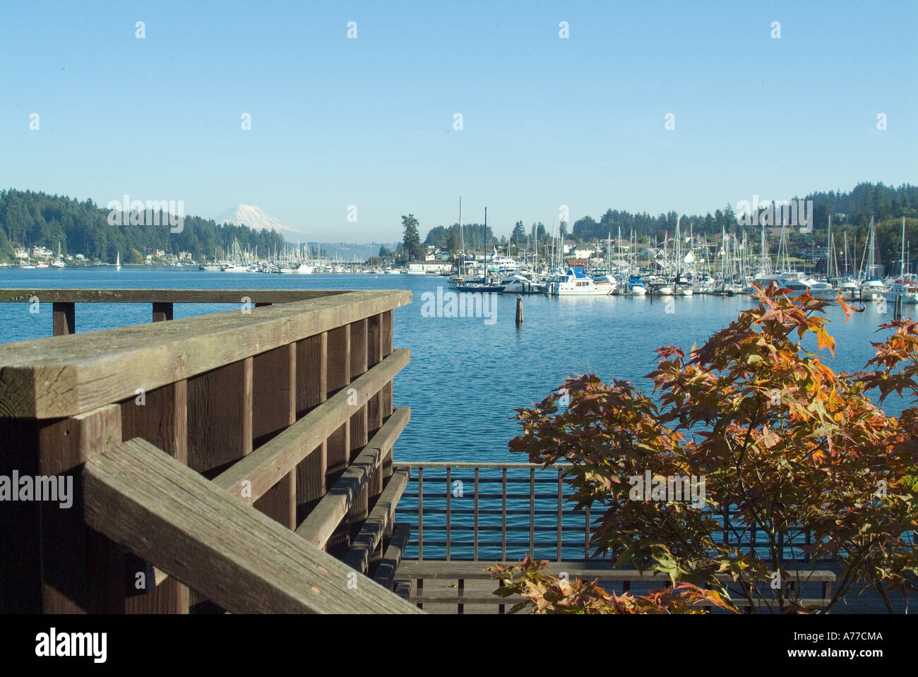 Gig Harbor, in der Nähe von Seattle, Washington, USA Stockfoto
