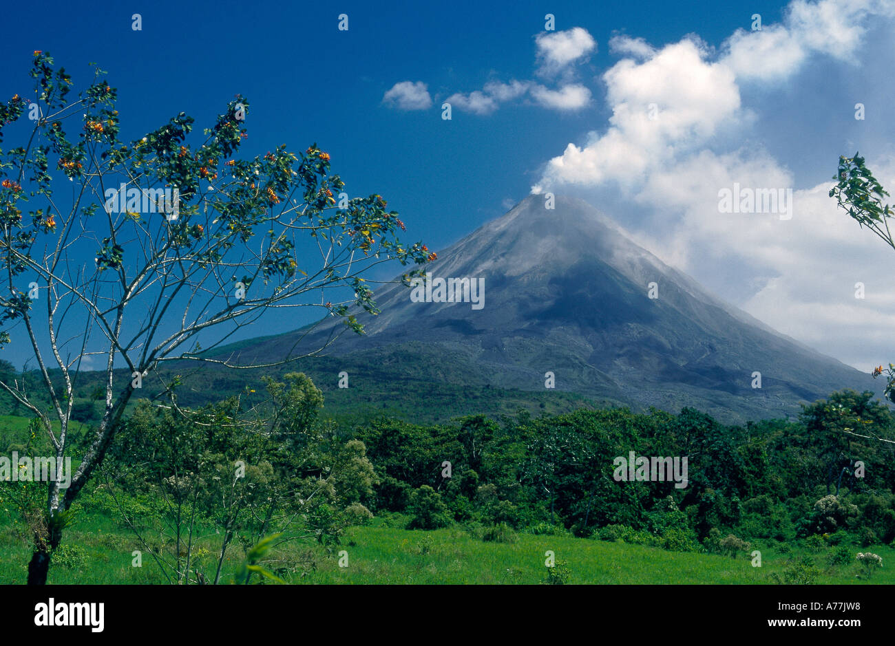 Blick auf den Vulkan Arenal mit Rauch Bäume unter Costa Rica Stockfoto