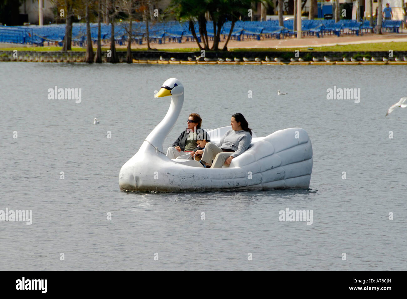 Paddel-Boot-Enten auf Eola See Orlando Florida Stockfoto