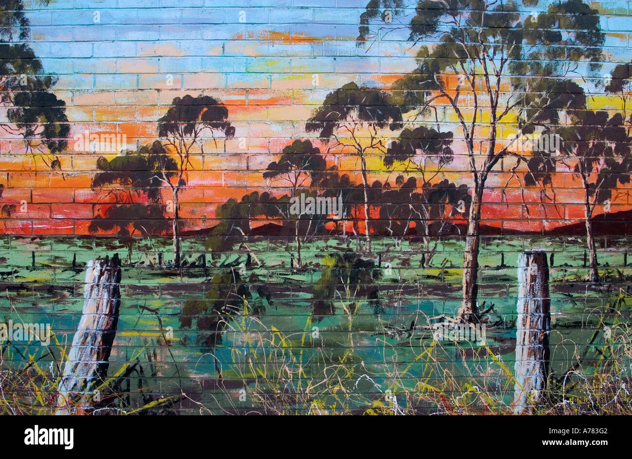 Wand-Detail, Cann River, Victoria, Australien Stockfoto