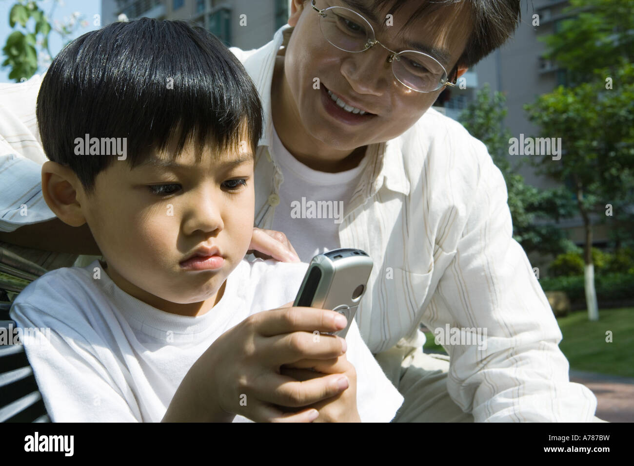 Vater und Sohn, junge Blick auf Handy Stockfoto
