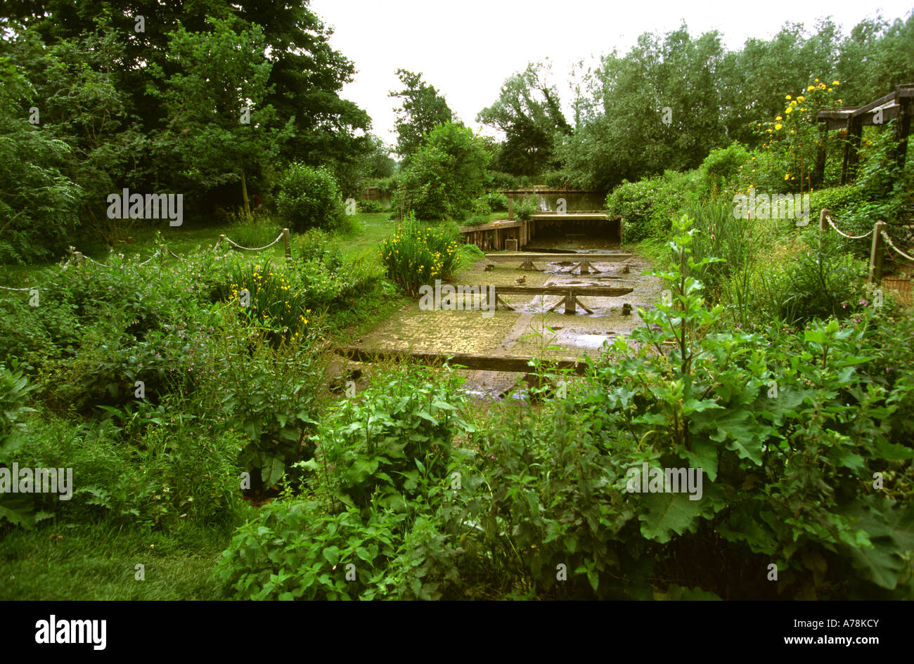 John constables Fotos und Bildmaterial in hoher Auflösung Alamy