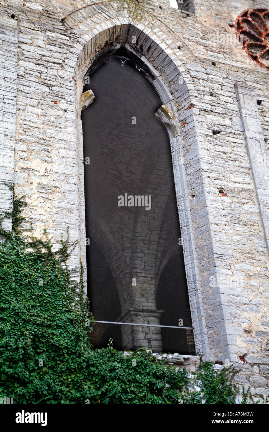 Ruinen der St. Nicolai-Kirche zu bauen um 1230 von dominikanischen Mönchen Walled mittelalterliche Hansestadt Stadt Visby Stockfoto