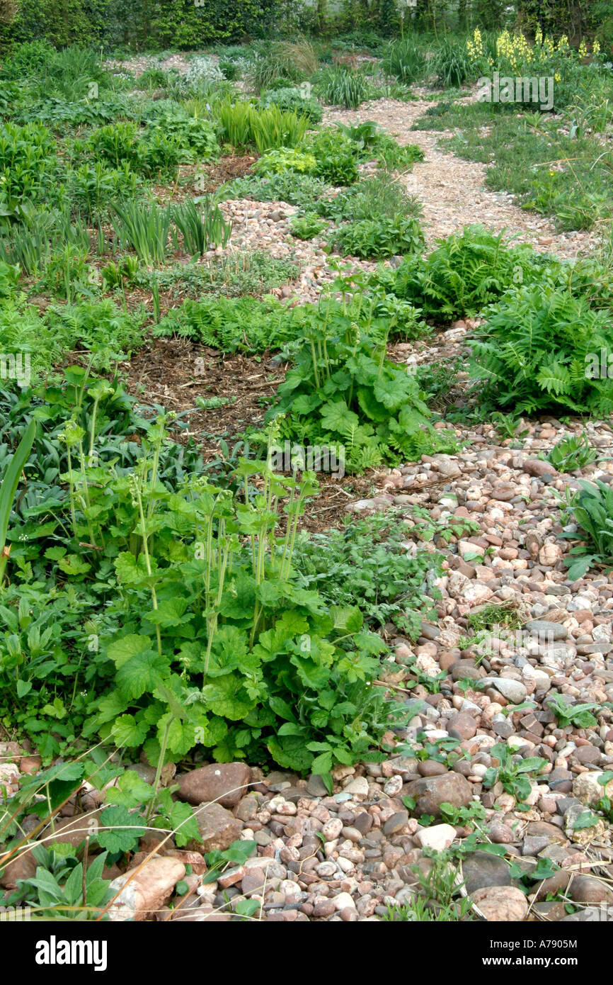 Der Steingarten in Holbrook 15. April 2007 Stockfoto