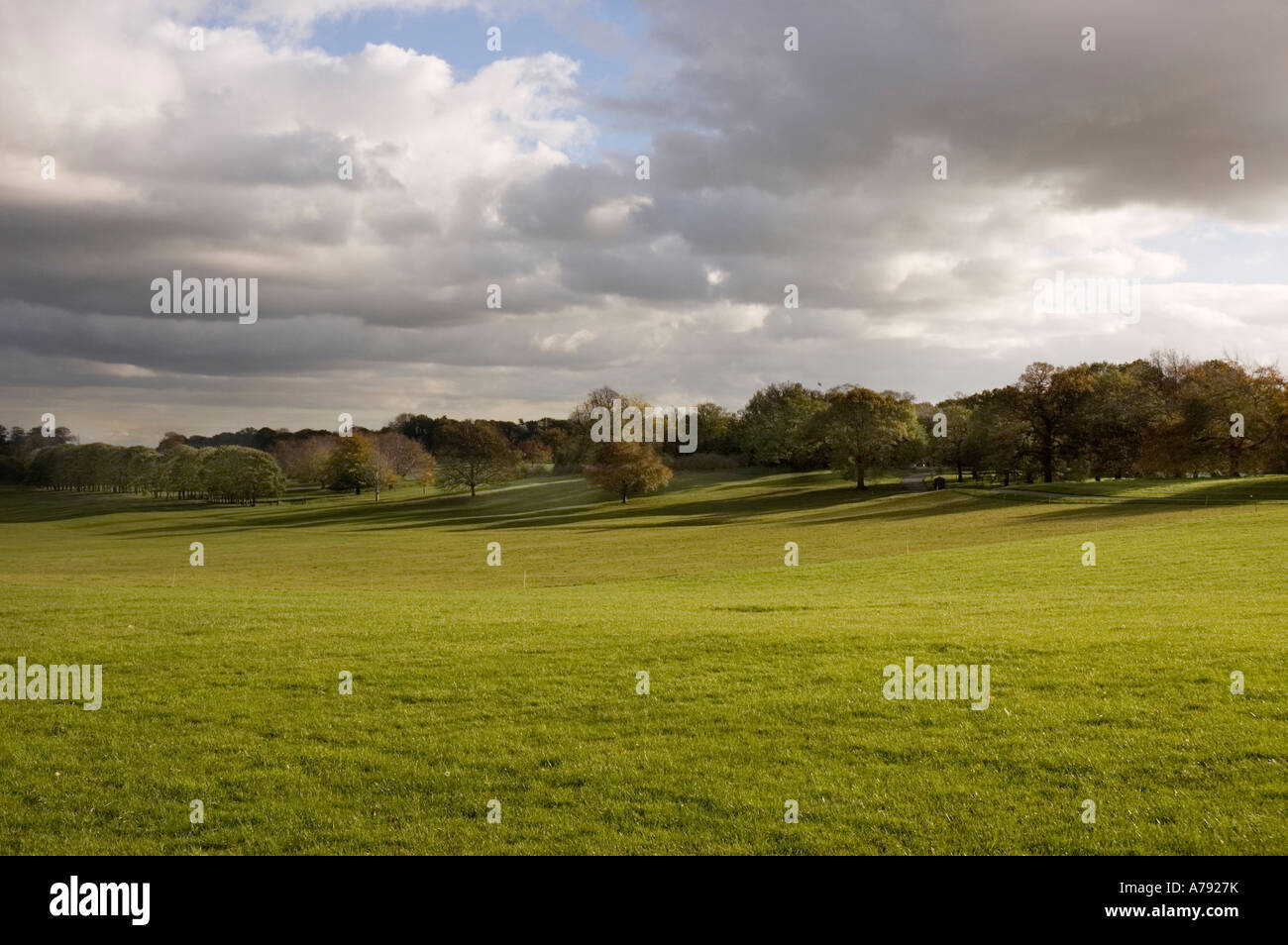 Nostell Winterlandschaft Stockfoto